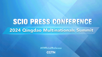 Live: Press conference on 2024 Qingdao Multinationals Summit 